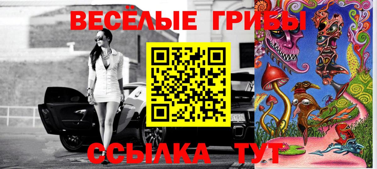 Галлюциногенные грибы прущие грибы  Галлюциногенные грибы Cubensis  Заречный  Вход с VPN 