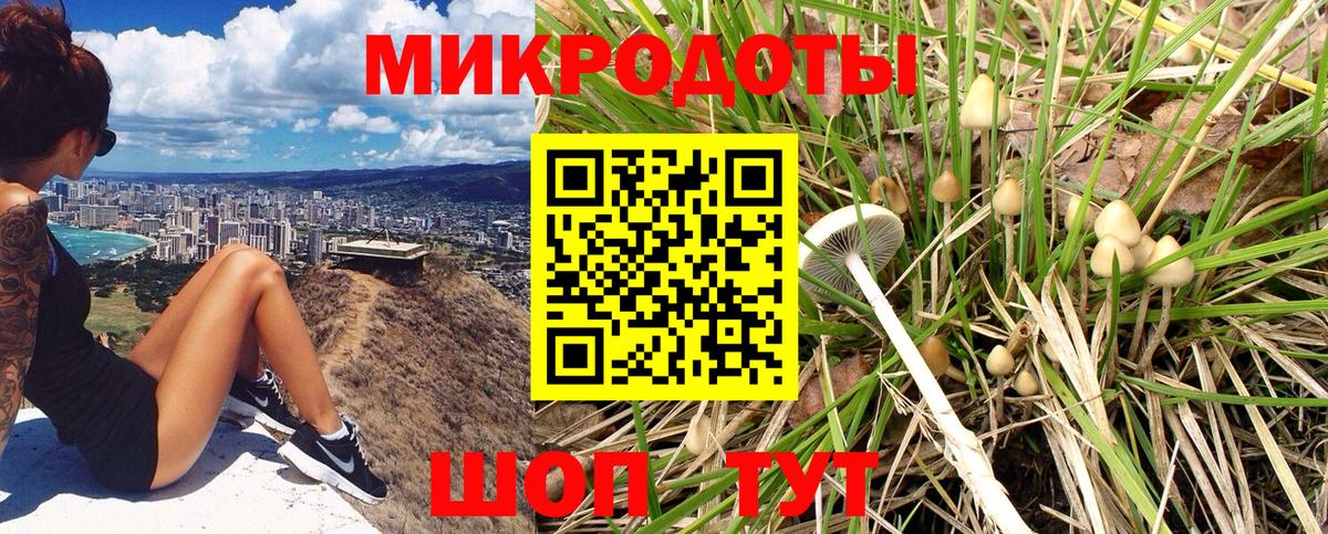 Псилоцибиновые грибы MAGIC MUSHROOMS Заречный