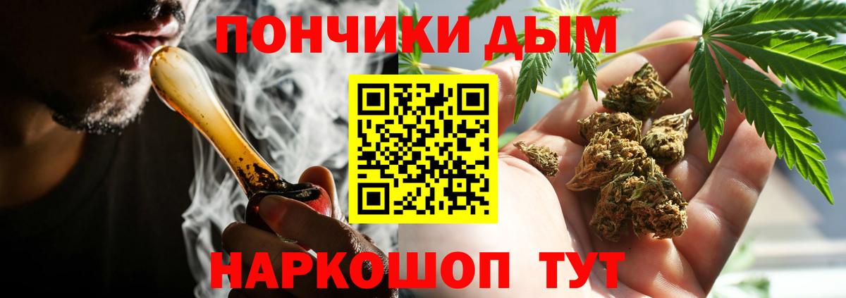 Конопля ГИДРОПОН  Вход с VPN  Бошки Шишки план  Заречный  МАРИХУАНА планчик 